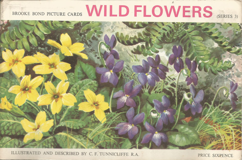 Brooke Bond: Wild Flowers, Series 3, 1963. Tea cards.
