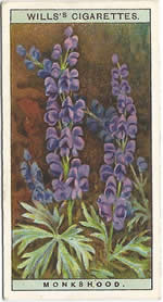 Monk's-hood: Aconitum napellus. Wild Flower. Will's Cigarette Card 1923.