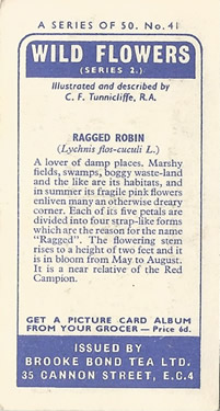 Ragged Robin. Cigarette Card. Brooke Bond Wild Flowers 1959
