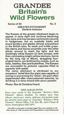 Greater Stitchwort: Stellaria holostea. Cigarette Card. Players Grandee Britain's Wild Flowers 1986