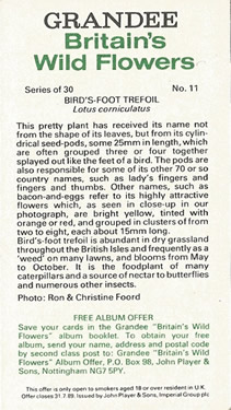 Common Bird's-foot-trefoil: Lotus corniculatus. Cigarette Card. Players Grandee Britain's 'Wild Flowers' 1986