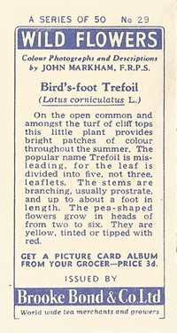 Common Bird's-foot-trefoil: Lotus corniculatus. Tea Card. Brooke Bond 'Wild Flowers' 1955