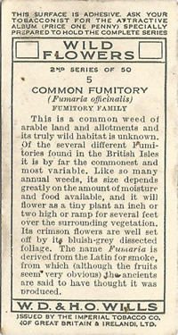 Common Fumitory: Fumaria officinali, Will's 'Wild Flowers' 1937