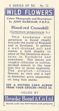 Blood-red Cranesbill. Tea Card. Brooke Bond 'Wild Flowers' 1955