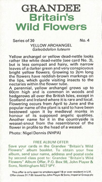 Yellow Archangel: Lamiastrum galeobdolon. Cigarette Card. Players Grandee Britain's Wild Flowers 1986