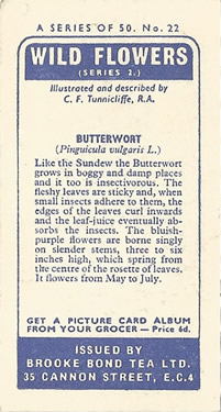 Common Butterwort: Pinguicula vulgaris. Tea Card. Brooke Bond Wild Flowers 1959