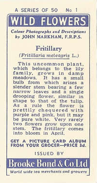 Fritillary: Fritillaria meleagris. Tea card. Brooke Bond 'Wild Flowers' 1955