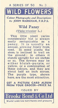 Common Poppy: Papaver rhoeasi. Purple wild flower. Tea card. Brooke Bond, 1955.