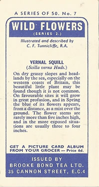 Vernal Squill: Scilla verna. Purple wild flower. Tea card. Brooke Bond, 1959.