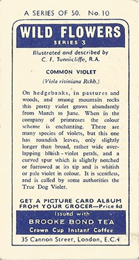 Common Dog-violet: Viola riviniana. Purple wild flower. Tea card. Brooke Bond, 1964.
