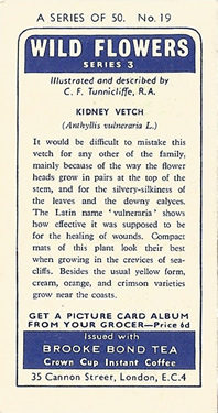 Kidney Vetch: Anthyllis vulneraria. Yellow wild flower. Tea card. Brooke Bond, 1964.