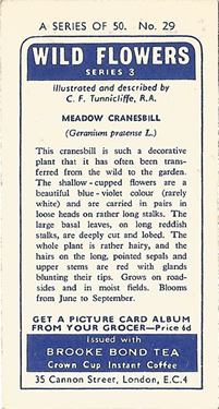 Meadow Crane’s-bill: Geranium pratense. Blue wild flower. Tea card. Brooke Bond, 1964.