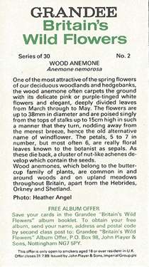 Wood Anemone: Anemone nemorosa. White wild flower. Cigarette card. Player's Grandee, 1986.