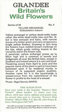Yellow Archangel: Lamiastrum galeobdolon. Yellow wild flower. Cigarette card. Player's Grandee, 1986.