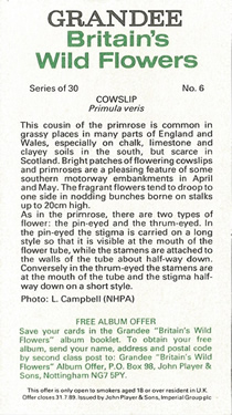 Cowslip: Primula veris. White wild flower. Cigarette card. Player's Grandee, 1986.