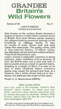 Cuckoo Flower: Cardamine pratensis. White/pink wild flower. Cigarette card. Player's Grandee, 1986..