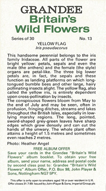Yellow Iris: Iris pseudacorus. Yellow wild flower. Cigarette card. Player's Grandee, 1986.