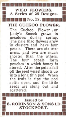 Cuckoo Flower: Cardamine pratensis. White wild flower. Cigarette card. Robinson 1915.