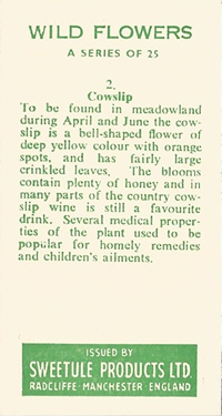 Cowslip: Primula veris. Trade card. Sweetule 'Wild Flowers', 1960.