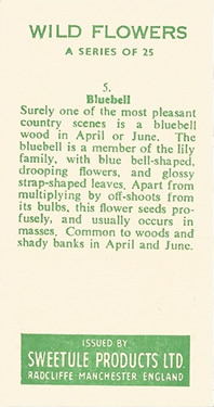Bluebell: Hyacinthoides non-scripta. Trade card. Sweetule 'Wild Flowers', 1960.