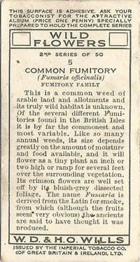 Common Fumitory: Fumaria officinalis. Wild flower. Cigarette card. W.D. & H.O. Wills 1937.