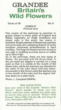 Cowslip, Cigarette Card, Players Grandee 'Britain's Wild Flowers' 1986