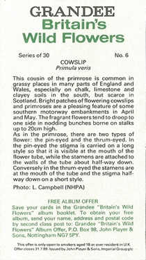 Cowslip, Cigarette Card, Players Grandee 'Britain's Wild Flowers' 1986