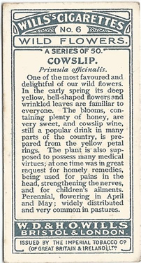 Cowslip, Cigarette Card, W.D. & H.O. Wills, Wild Flowers 1923