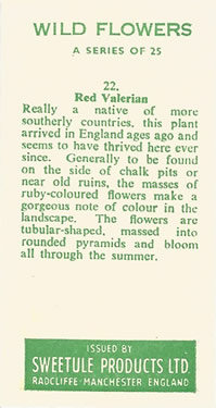 Red Valerian: Centranthus ruber. Tea Card. Sweetule' Wild Flowers' 1960