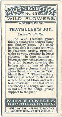 Will's Wild Flowers 1923