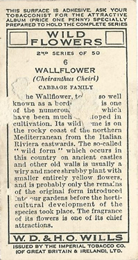 Will's Wild Flowers 1937