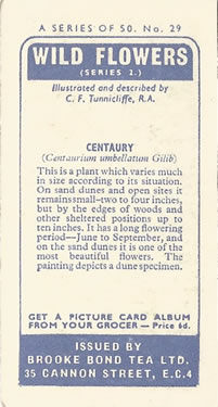 Brooke Bond Wild Flowers 1959