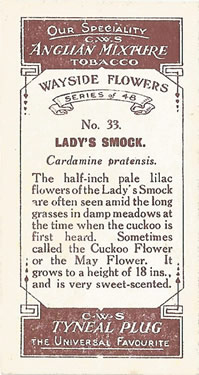 CWS Wayside Flowers 1928