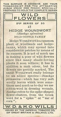 Will's Wild Flowers 1937