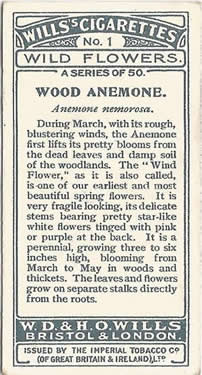 Will's Wild Flowers 1923