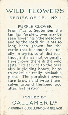 Gallaher Wild Flowers 1939