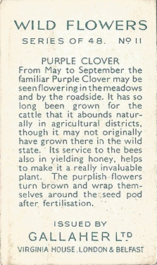 Gallaher Wild Flowers 1939