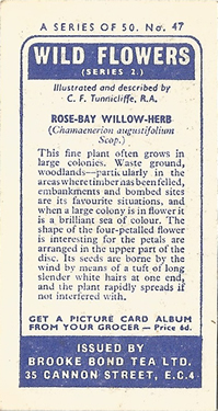 Ty-Phoo Wild Flowers 1961