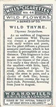 Will's Wild Flowers 1923