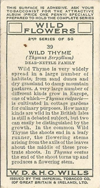 Will's Wild Flowers 1937